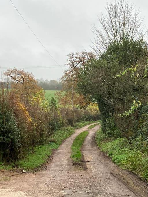 Woodbine Cottage-Part Of Alton Cottages エクステリア 写真